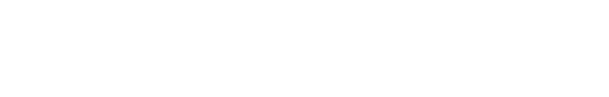 今日の夜ご飯